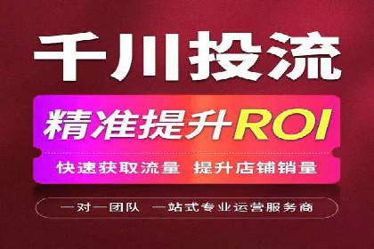 某品牌的信息流广告投放策略及效果展示